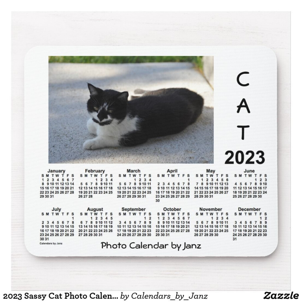 2023 Sassy Cat Photo Calendar By Janz Mouse Pad Zazzle Sassy 