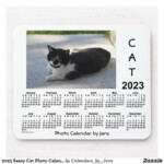 2023 Sassy Cat Photo Calendar By Janz Mouse Pad Zazzle Sassy