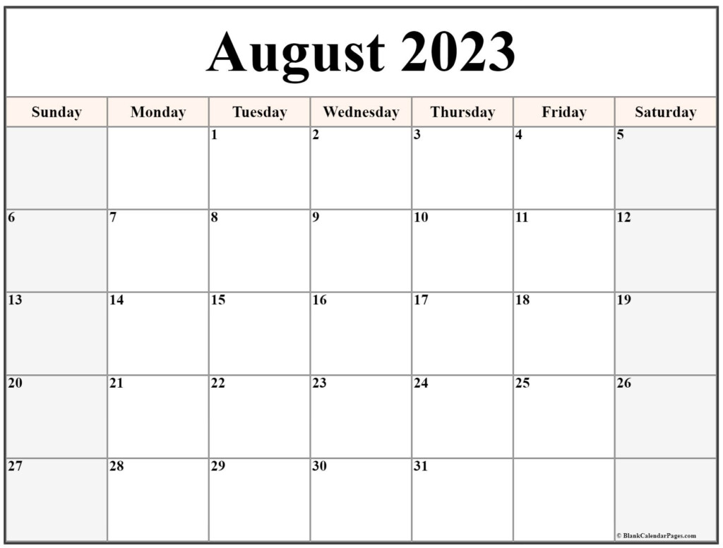 August 2023 Calendar Free Printable Calendar