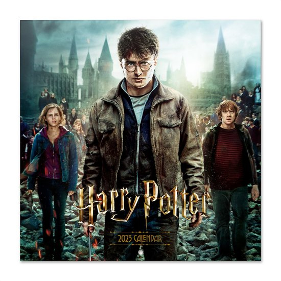 Harry Potter Kalender 2023 J K Rowling Ron Hermelien Voldemort 