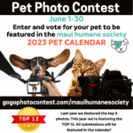 MHS 2023 Calendar Pet Photo Contest Maui Humane Society