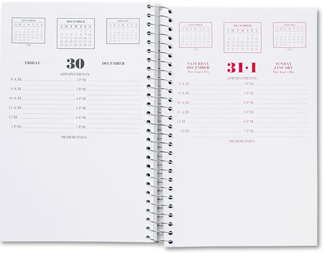 RIENSCREGULAR Riegle Press National School Calendar Daily Planner 