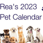 The Rea Foundation 2023 Pet Calendar Contest